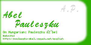 abel pauleszku business card